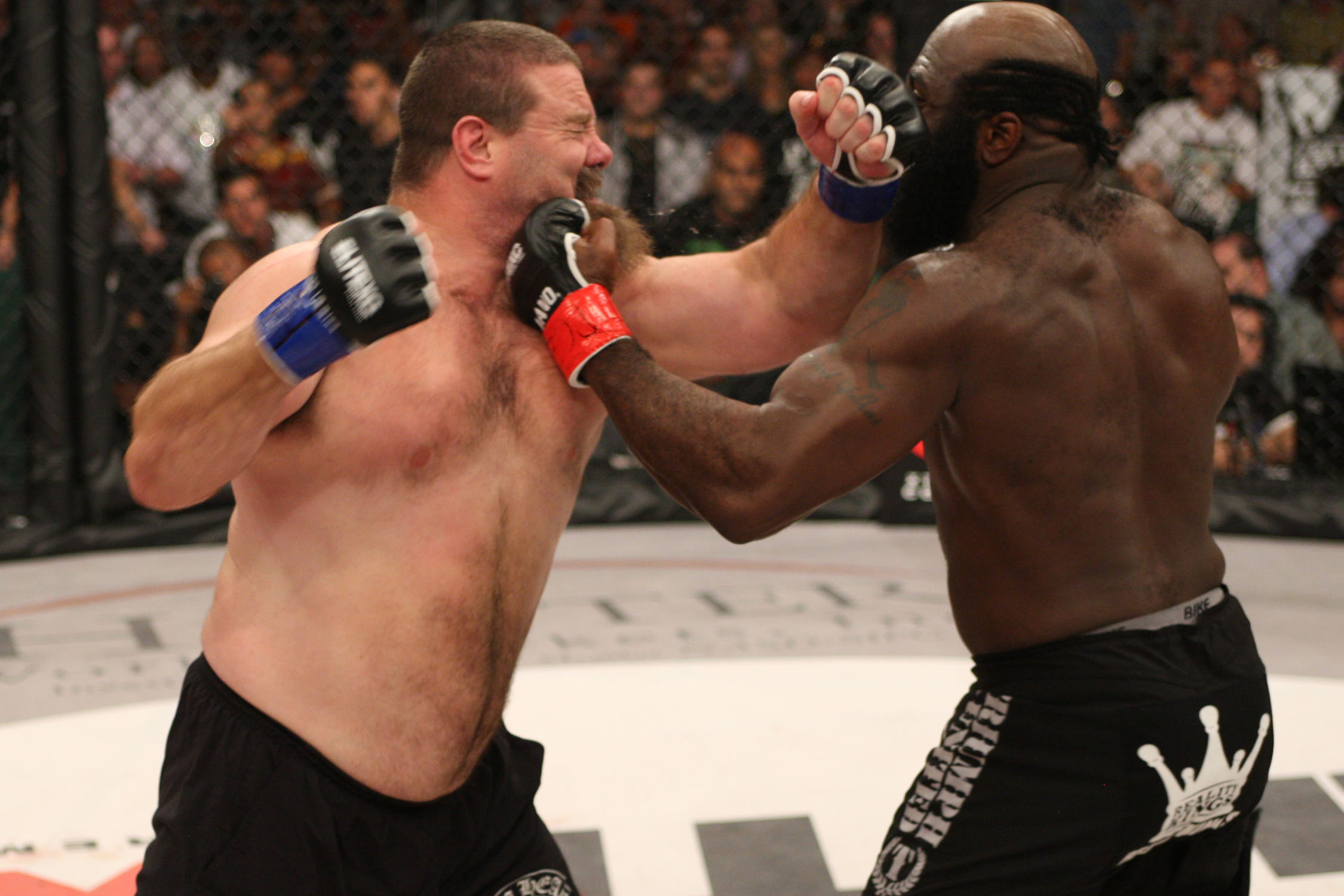 img_8304-slice-vs-abbott-01.jpg